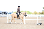 SBM_11199