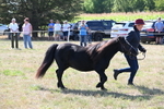 WJ6_4959