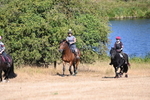 WJ6_7891