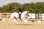SBM_018768