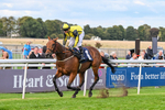 160926-Race 8-Evelyns Phoenix-2212