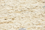 250719A-151042-06701
