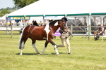 SBM_15497