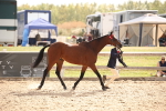 SBM_08147