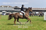 BPP_0395