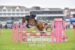 BPP_6558