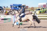 Cls 4 Pony 1m Open portfolio