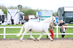 SBM_05828