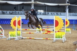 SBM_001672