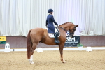 SBM_007801