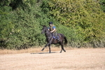 WJ6_6768
