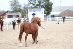 SBM_05931
