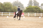 SBM_000915