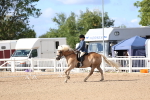 SBM_10786