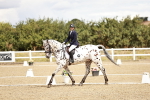 SBM_004832