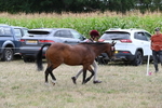WJ6_6198