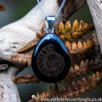 jpai 187 Whitby Jet & Ammonite Inlay