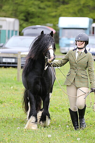 Brechin Show