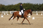 SBM_021915