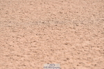 230531A-134052-00494