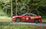 Heritage Charity Hill Climb_2013-60