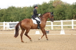 SBM_010414