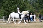 WJ7_9711