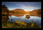 Llyn Nantlle