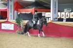 SBM_06016
