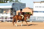 SBM_08114
