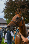 250823-Race 5-Reach-0938