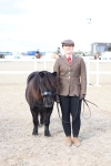 Class 317 - IH Pure Bred Horse-Pony portfolio