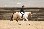 SBM_000984