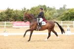 SBM_006440