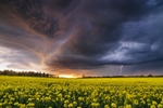 z2077 Evening Storm over Ashey