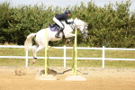 SBM_010410