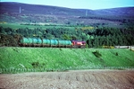29th May 2009