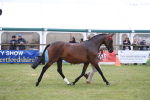 SBM_09845