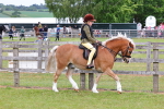 SBM_08541