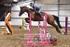 BPP_8535