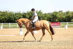SBM_007515