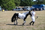 WJ6_8602