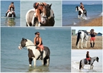 Chloe Beach