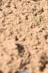 230915A-133200-00524