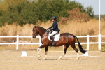 SBM_017913