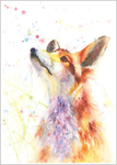 FOX LOOKING UP Limited Edition Print 491
