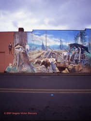 Walls Of Distinction portfolio