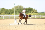 SBM_009168
