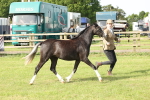 SBM_00700