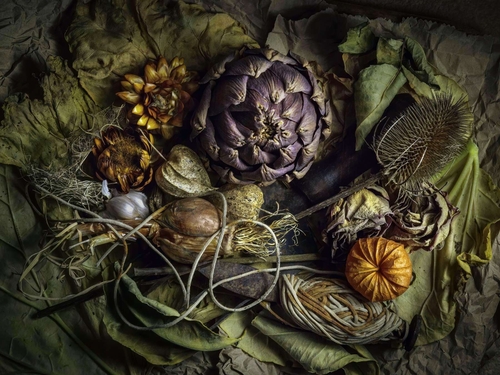 Garden Shed Miscellany
